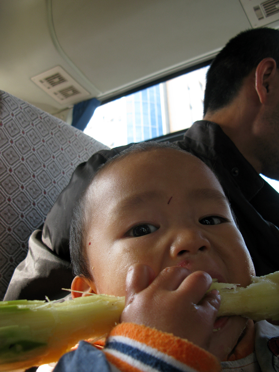 China Sugarcane Baby