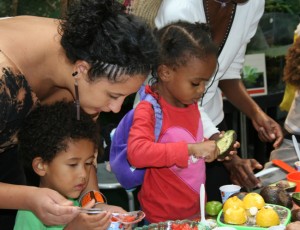 TasteOfBrooklyn