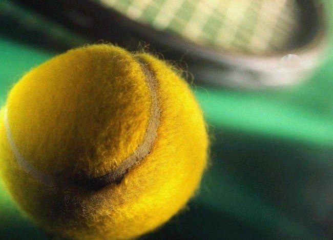 Tennis Ball