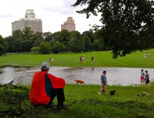 Prospect Park's New Pond